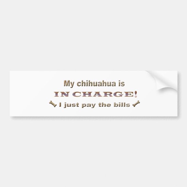 chihuahua bumper sticker (Front)