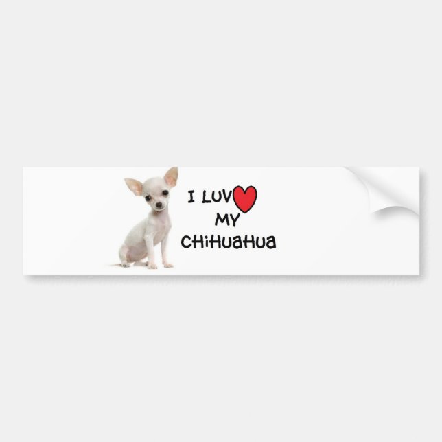 Chihuahua Bumper Sticker (Front)