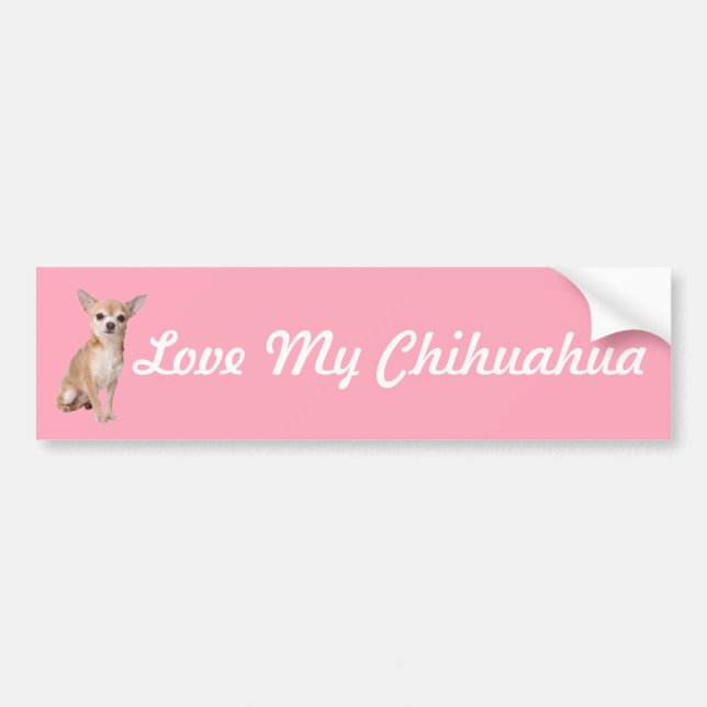 Chihuahua Bumper Sticker (Front)