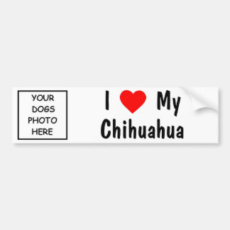 Chihuahua Bumper Sticker
