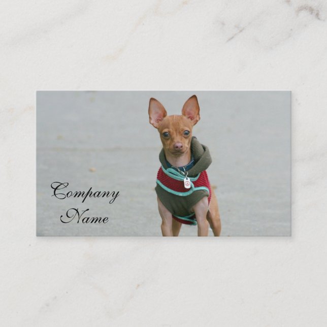Chihuahua Business Cards (Front)