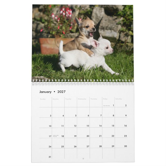 Chihuahua Calendar (Jan 2027)