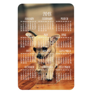 Chihuahua Calendar 2018 Photo Magnet 4x6 Large