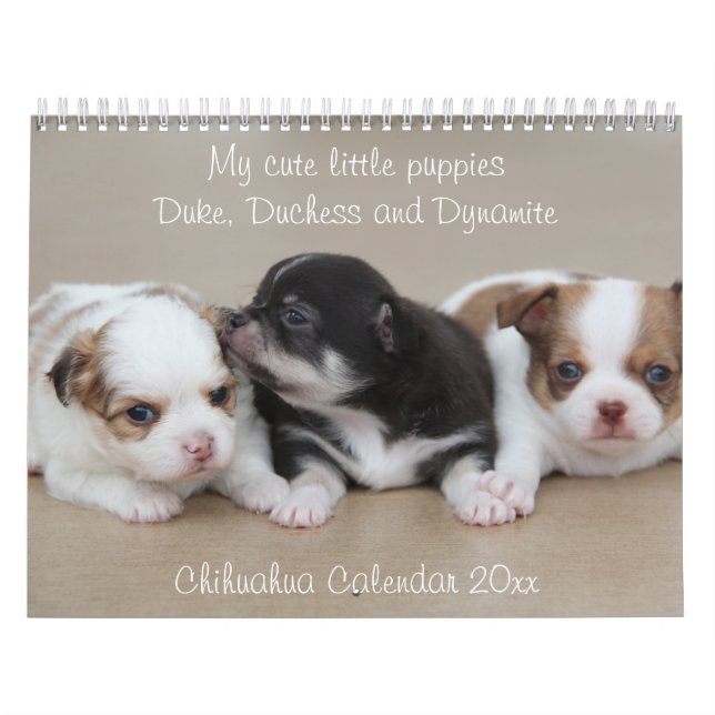 Chihuahua Calendar 2026 With Photos (Cover)
