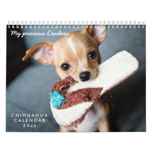 Chihuahua Calendar 2026 Your Pet Photos