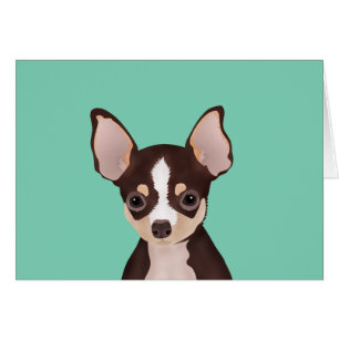 Chihuahua cartoon