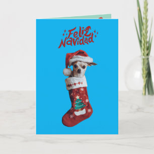 Chihuahua Christmas Announcement