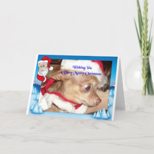 Chihuahua Christmas Holiday Card