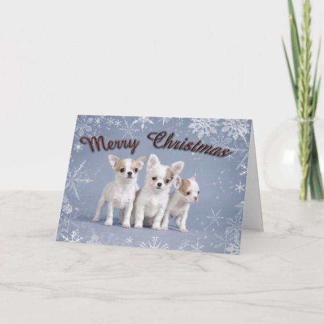 Chihuahua Christmas Holiday Card (Front)