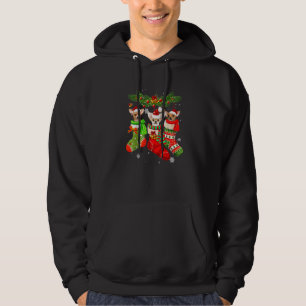 Chihuahua Christmas In Socks Lights Santa Hat Xmas Hoodie