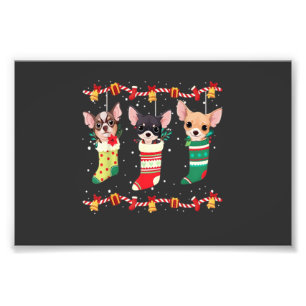 Chihuahua Christmas Socks Lights Funny Xmas Dog Lo Photo Print