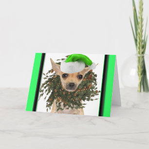 Chihuahua Christmas Wreath & Hat Holiday Card