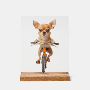 Chihuahua Copy Copy Copy Copy Copy Copy Acrylic Sign