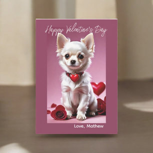 Chihuahua Cupid Card
