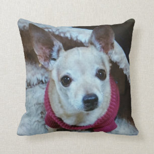 CHIHUAHUA CUSHION