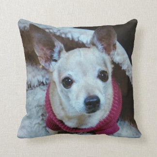 CHIHUAHUA CUSHION
