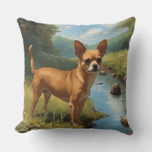 Chihuahua