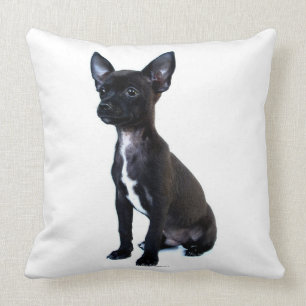 Chihuahua Cushion