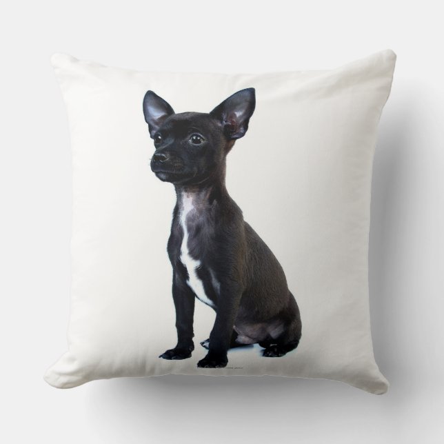 Chihuahua Cushion (Front)