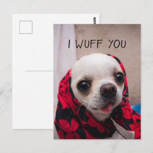 Chihuahua cute I wuff you love Valentines Postcard