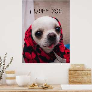 Chihuahua cute I wuff you love Valentines Poster