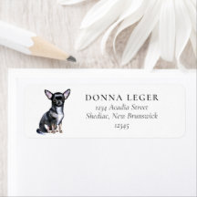 Chihuahua Dog Address