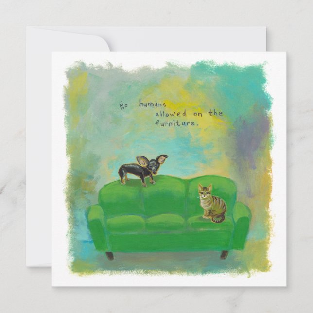 Chihuahua dog and cat on sofa fun original art invitation (Front)