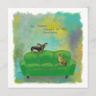 Chihuahua dog and cat on sofa fun original art invitation