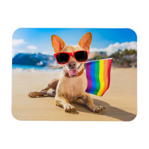 Chihuahua Dog  at the Beach Magnet