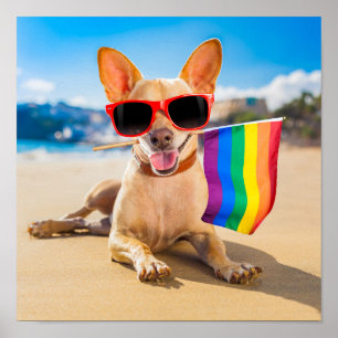 Chihuahua Dog  at the Beach Poster
