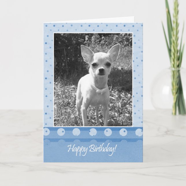 Chihuahua Dog Happy Birthday Greeting Card (Front)