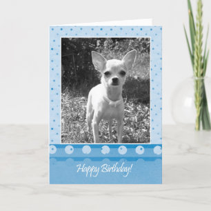 Chihuahua Dog Happy Birthday Greeting Card