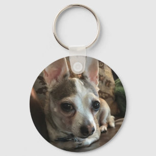 Chihuahua Dog Key Chain