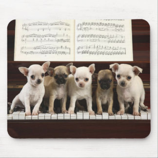 Chihuahua Dog Mouse Pad