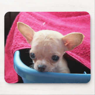 Chihuahua Dog Mousepad