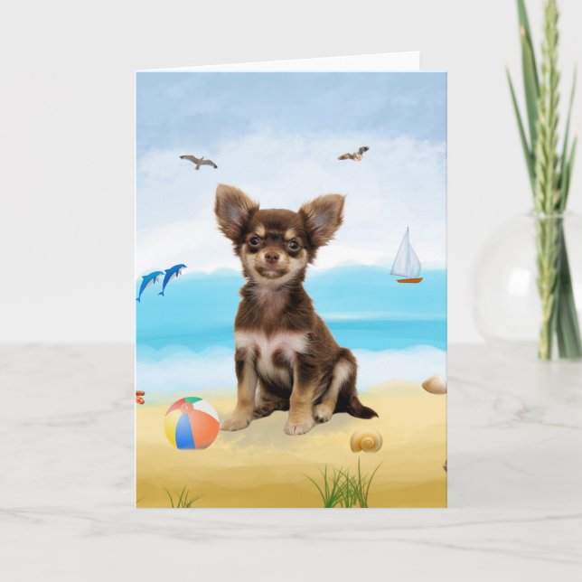 chihuahua Dog on Beach  Card (Front)