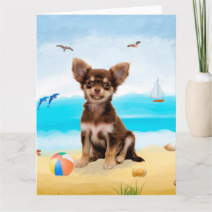 Chihuahua Dog on Beach Card