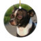 Chihuahua dog ornament