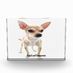 Chihuahua Dog. Photo Block