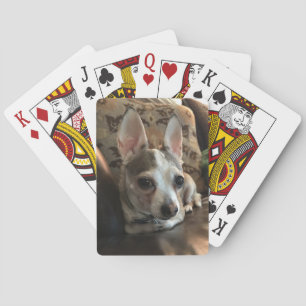 Chihuahua Dog Playing Cards