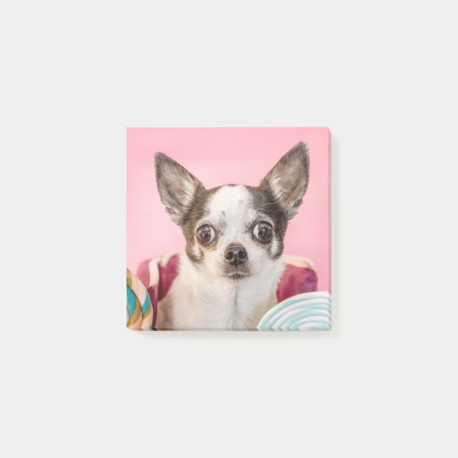 Chihuahua dog post-it notes (Front)