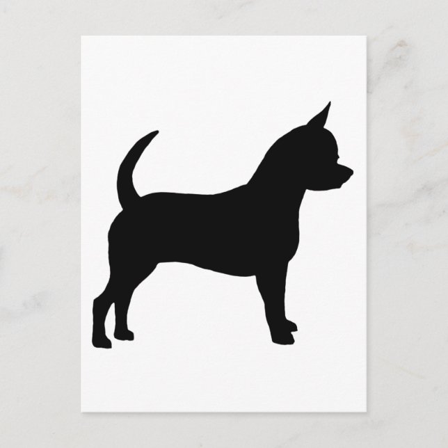 Chihuahua Dog Postcard (Front)