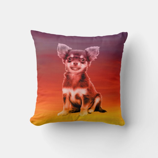 Chihuahua Dog Sitting On Beach Cushion (Front)