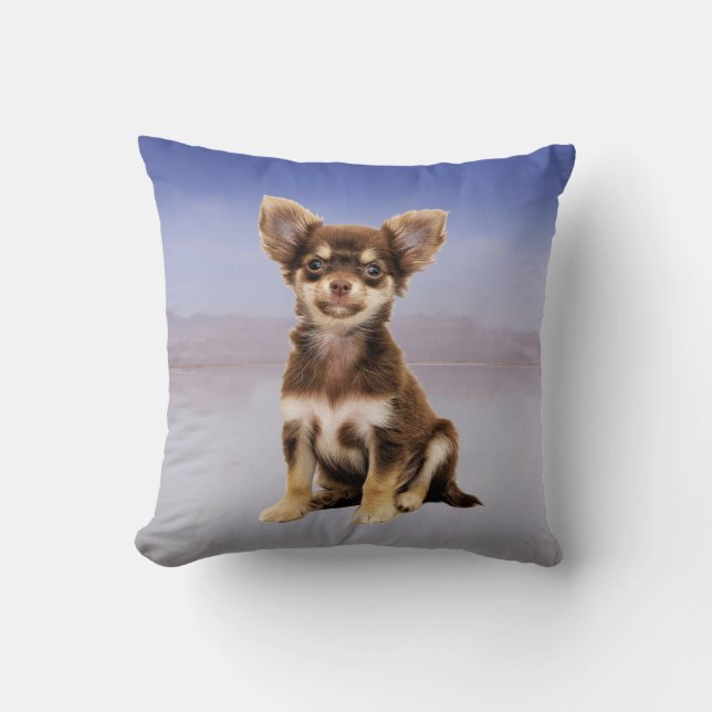 Chihuahua Dog Sitting On Beach Cushion (Front)