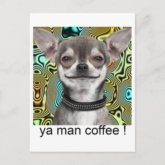 Chihuahua Dog Smiling for Coffee Postcard (Front)