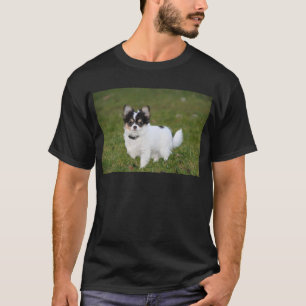 Chihuahua dog standing on a green lawn T-Shirt