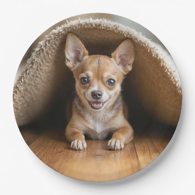 Chihuahua Dog Under a Rug Paper Plate (Front)