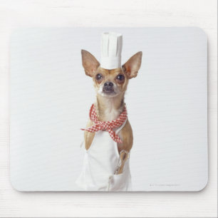 Chihuahua dog wearing chef's whites, studio shot mouse pad