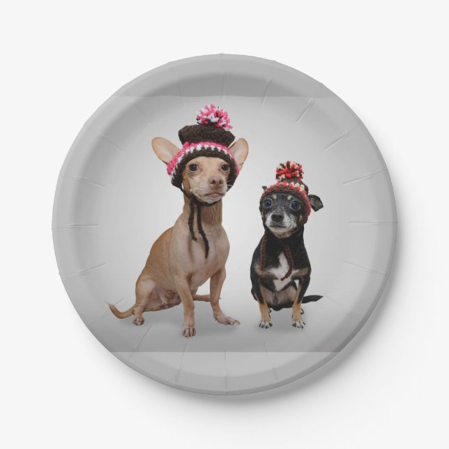 Chihuahua Dogs With Hats Photo Paper Plate (Front)