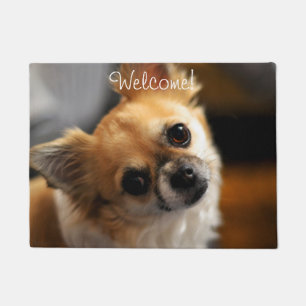 Chihuahua Door Mat Welcome Add Photo